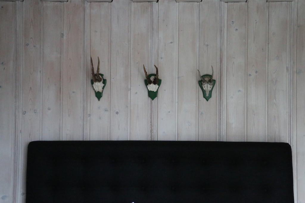 Landhotel Villa Foresta Braunlage Kültér fotó