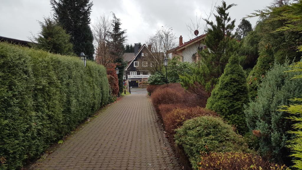 Landhotel Villa Foresta Braunlage Kültér fotó